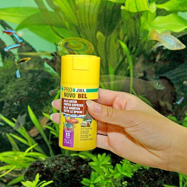 Foto 3 de 6 de JBL PRONOVO BEL Grano, alimento Principal para Todos los Peces de Acuario de 3-5 cm