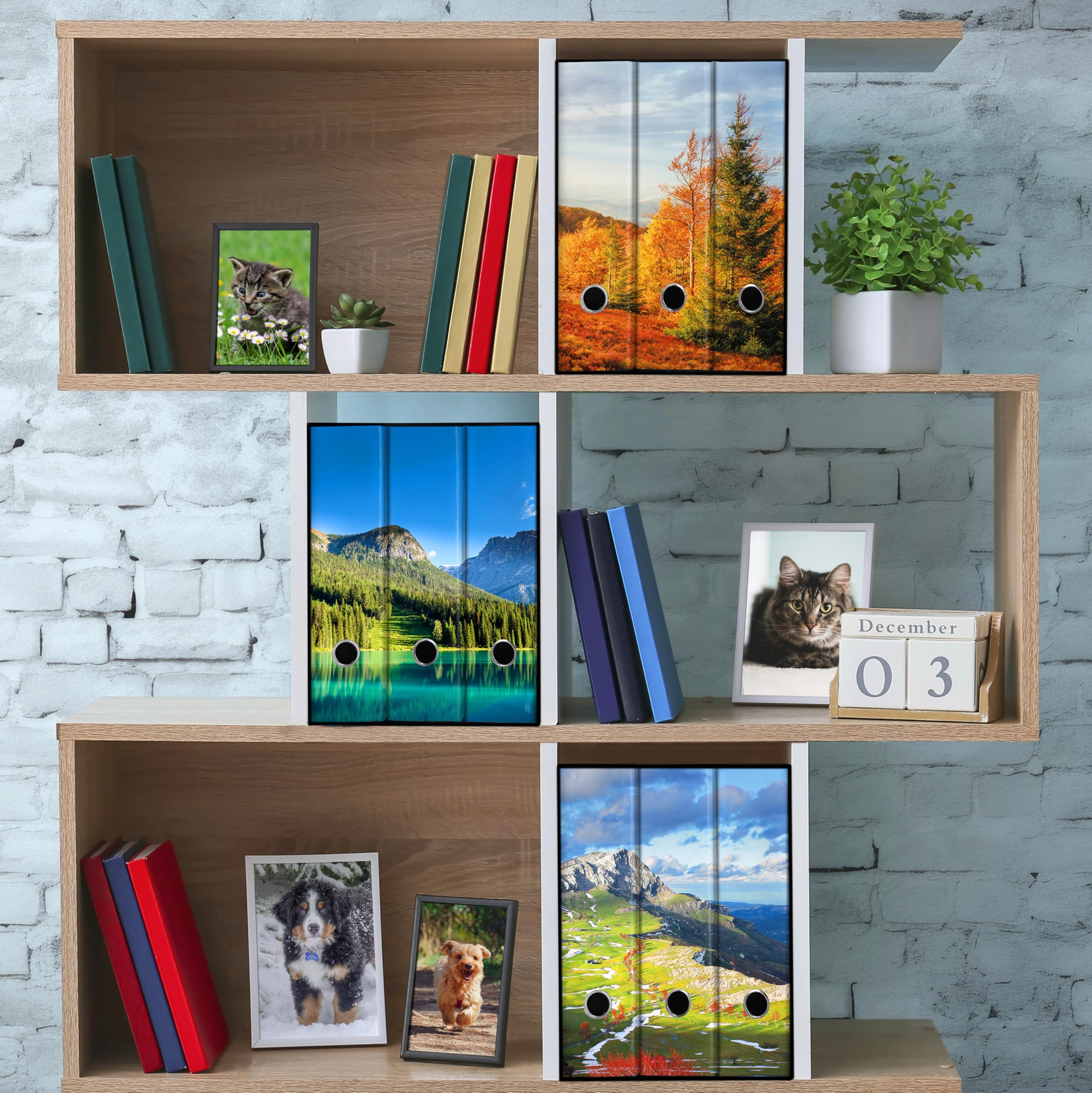 Set da 3 raccoglitori ad anelli - MONTAGNA con PRATI (H31 cm con 4 anelli)
