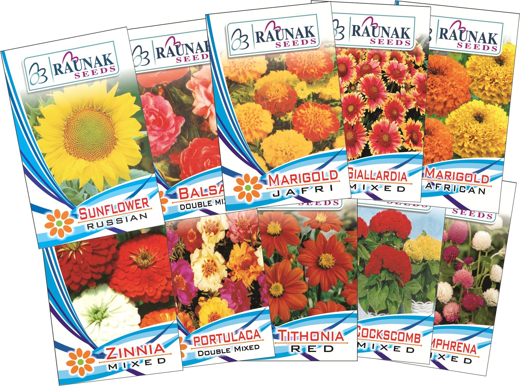 Seedscare Garden Care Flowers Seeds For Summer Season (Pack Of 10) (B019MAG6ZQ) Amazon Price History, Amazon Price Tracker
