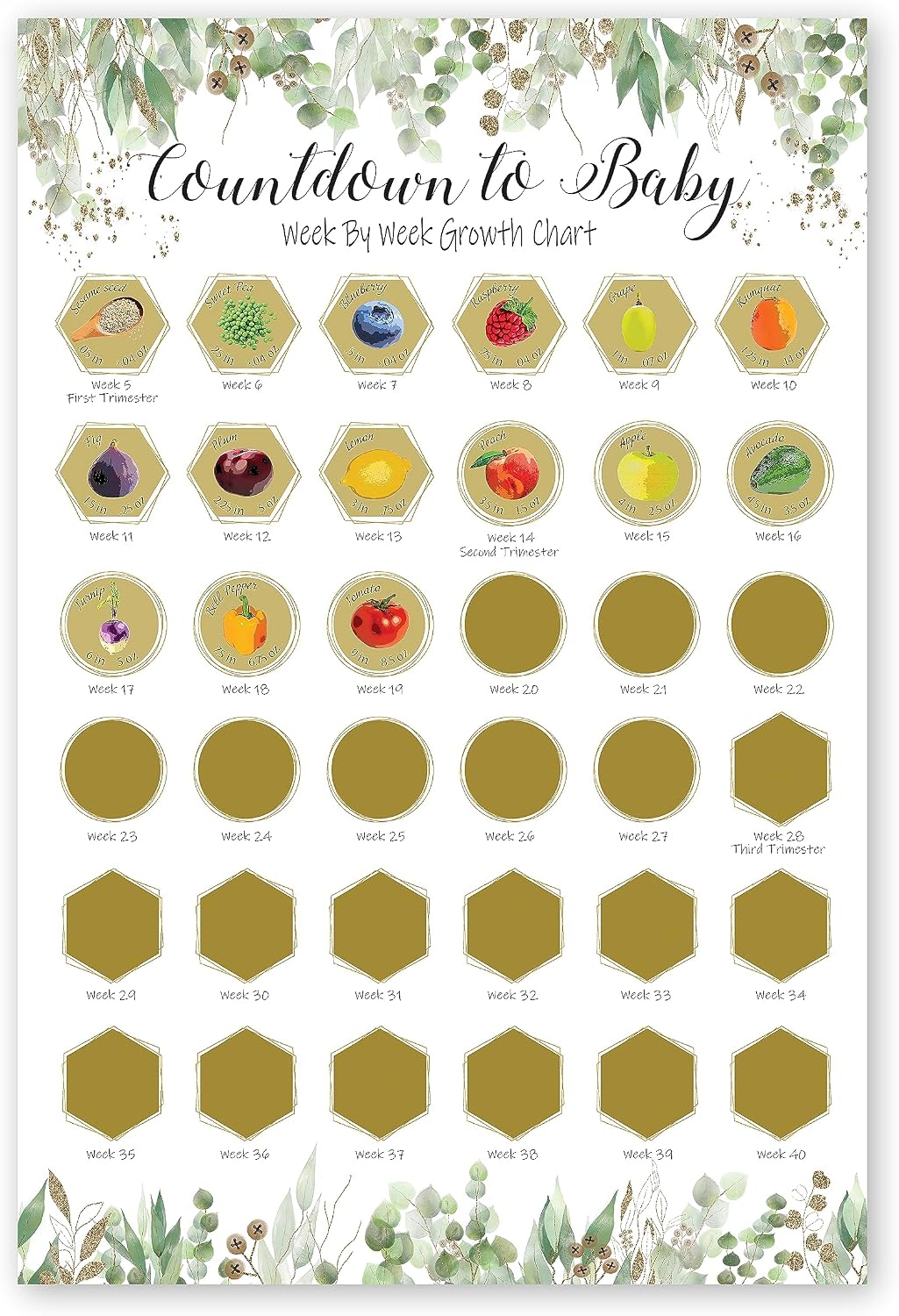 Destinations Trekked Pregnancy Countdown Scratch Off Chart, Pregnancy Growth Tracker, 12x18 inches, Nursery Decor Poster, Expecting Parents Gift (12x18)