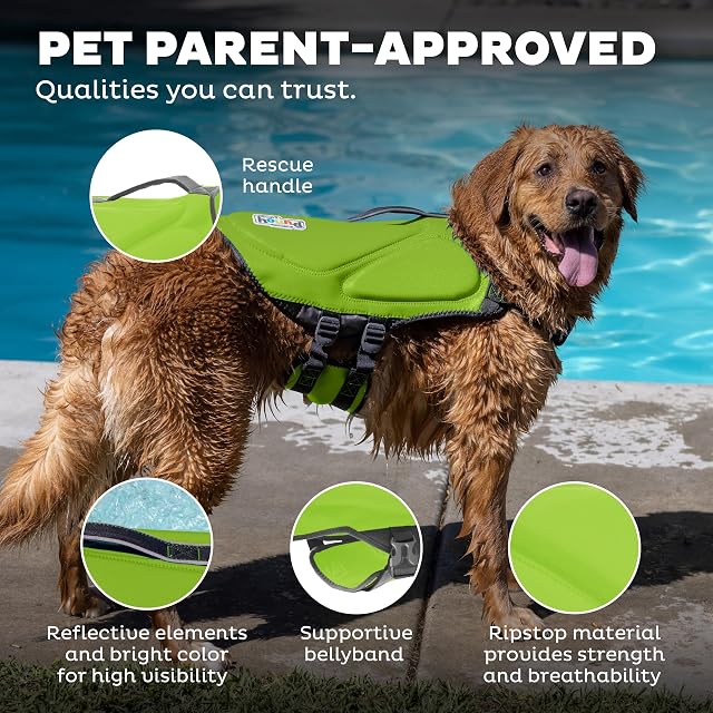 Foto 5 de 7 de Outward Hound Dawson Swim Green Dog Chaleco Salvavidas, XS