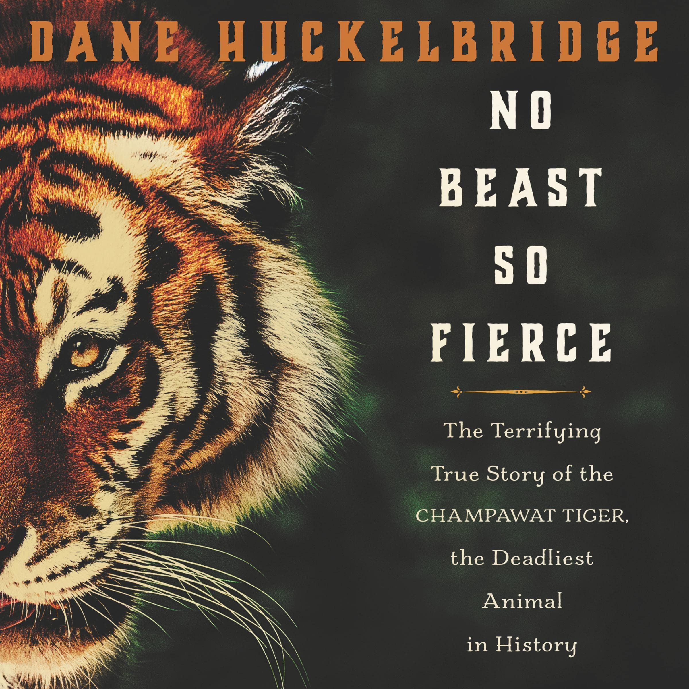 Cover art for No Beast So Fierce