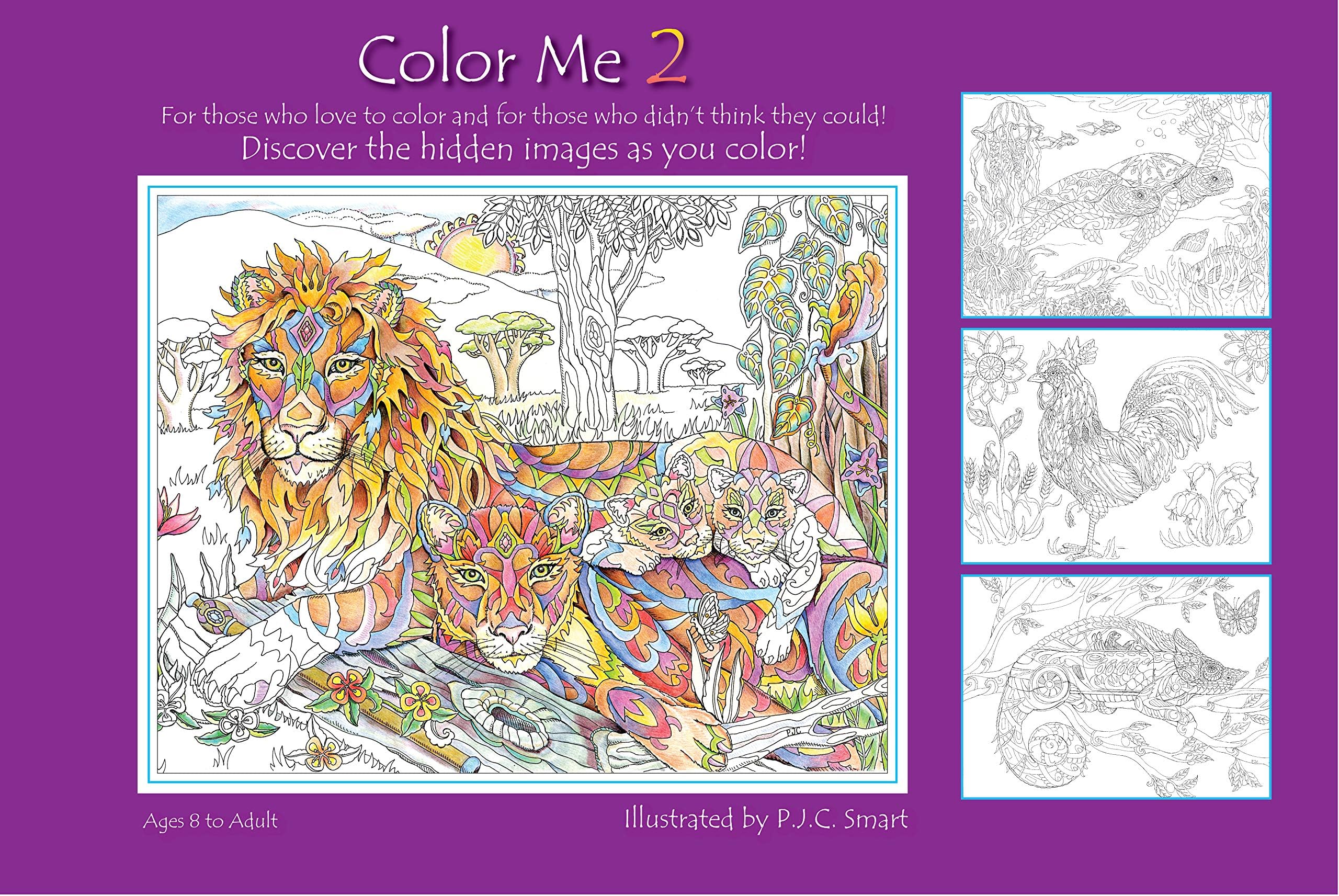 Color Me Your Way 2 (Volume 2)