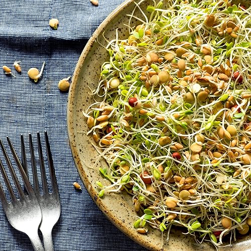 Miniatura 3 de Todd's Seeds - Mezcla de semillas de germinación de frijoles, guisantes verdes, frijoles Mung, adzuki, garbanzo - 1 libra