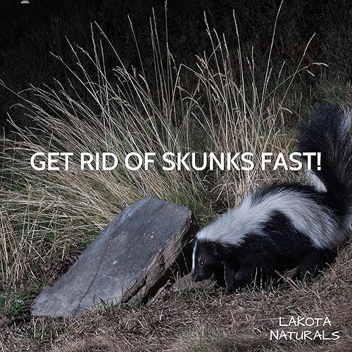 Miniatura 5 de Repelente natural de animales y roedores de orina de coyote 100% pura, hace que parezca que un coyote está cerca. Repelente de mofeta y mapache para