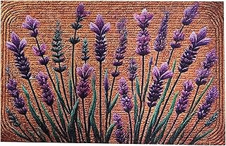 Floral Front Door Welcome Mat, Aesthetic Cute Flower Doormat, Non-Slip O...