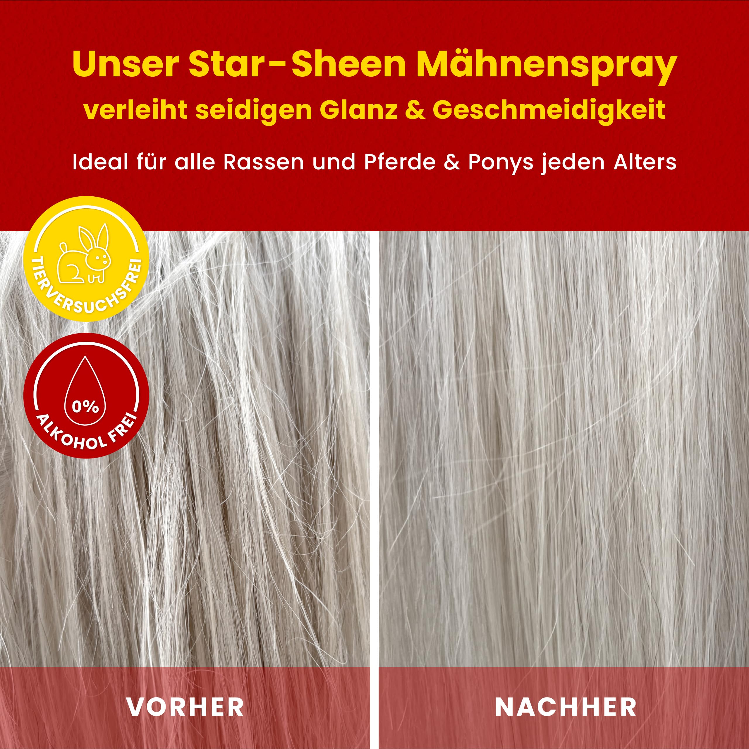 Scheidler horse-direkt Star-Sheen Mähnenspray 5l Kanister für Pferde – Langanhaltendes Schweifspray für brillanten Glanz - Leichtes Kämmen & Fellpflege – Natur Glanzspray Made in Germany
