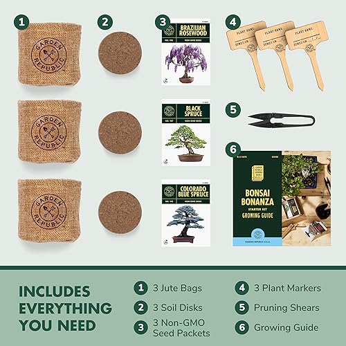 Miniatura 11 de Kit de principiantes de semillas de árbol Bonsai, Mini juego de cultivo de plantas Bonsai, 4 tipos de semillas, macetas, tijeras de podar