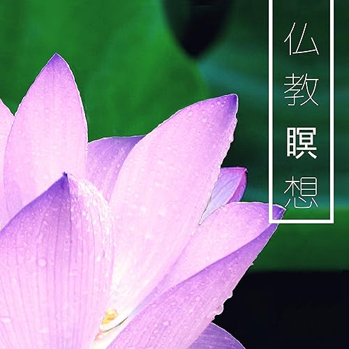木陰の幸福 By 音楽療法 On Amazon Music Amazon Com 木陰の幸福 By 音楽療法 On Amazon Music Amazon Com