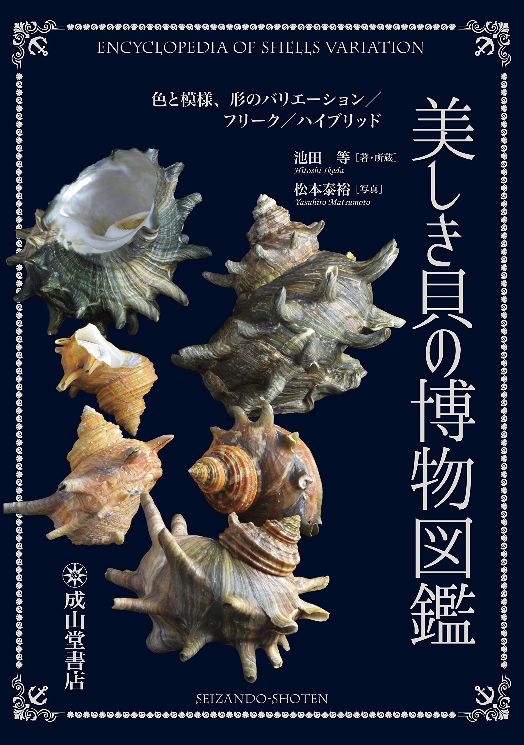美しき貝の博物図鑑 ー色と模様、形のバリエーション/フリーク 