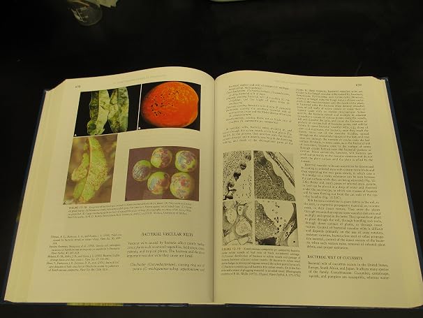 Plant Pathology