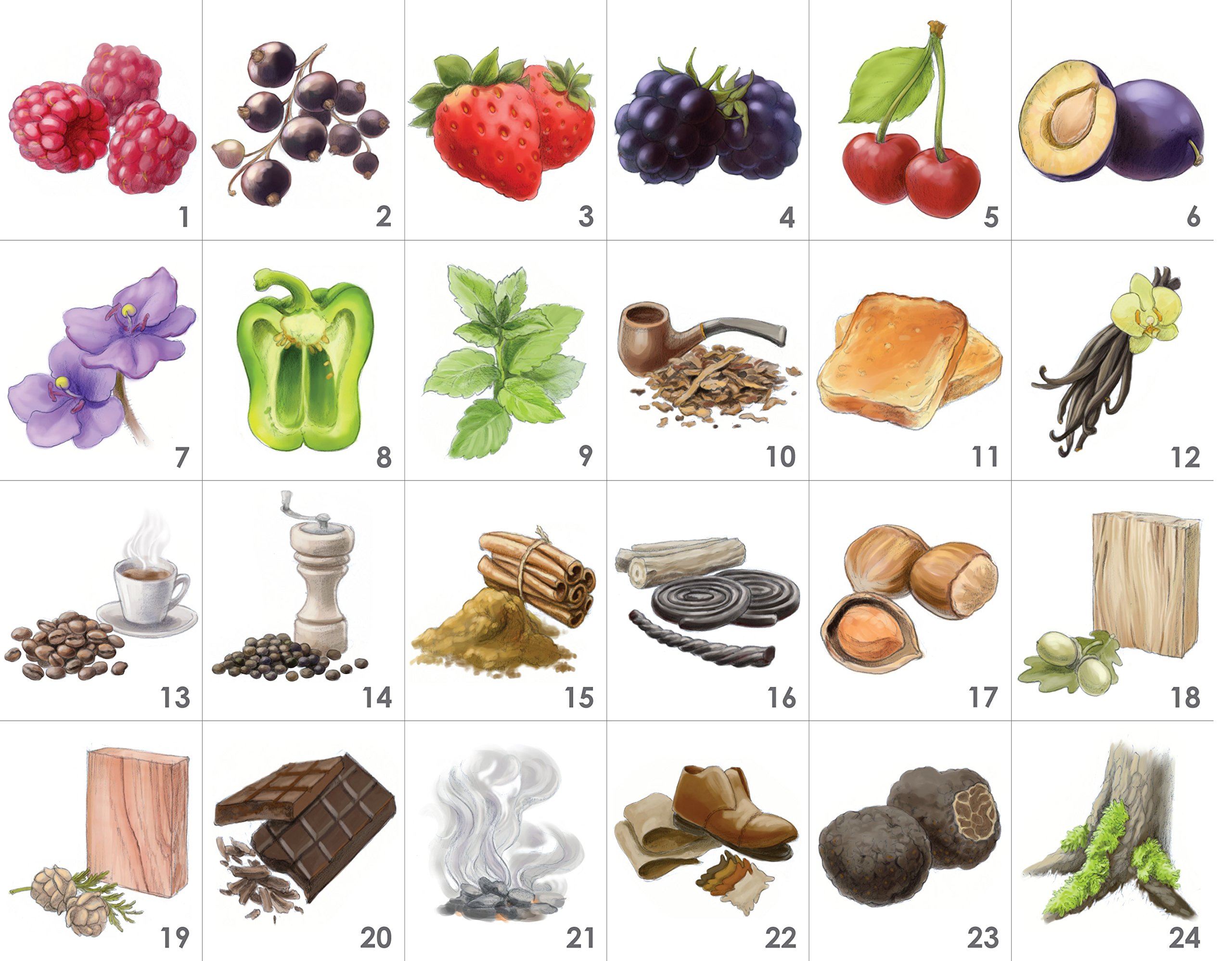 Amazon | Red Wine Aroma Kit - 24 Aromas (incl. Wine Aroma Wheel