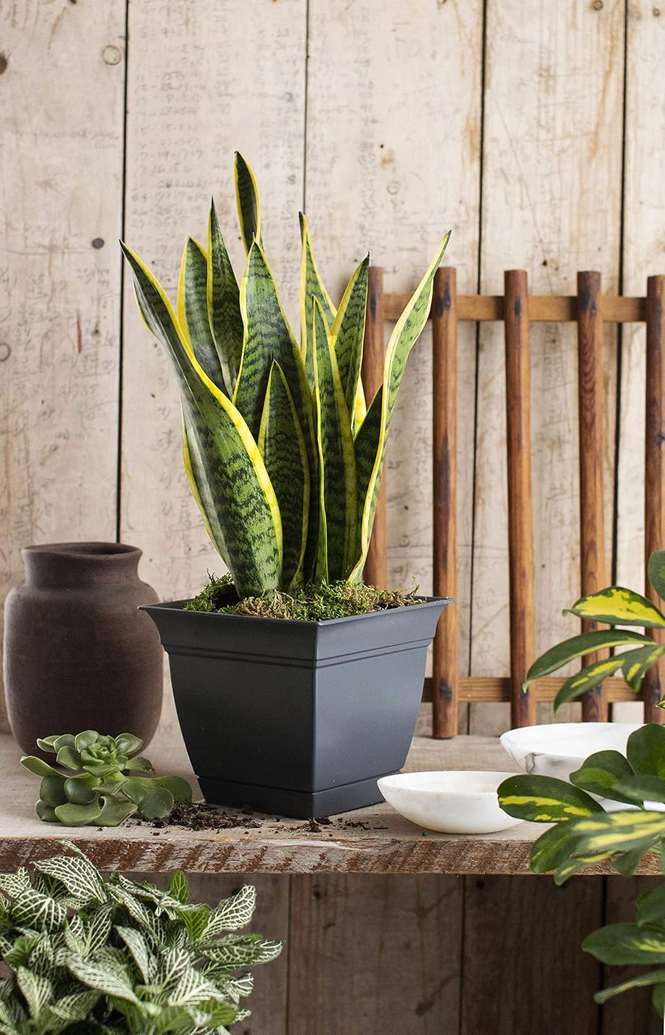 The HC Companies ECP08000DE21024LRDGQ planters, 8", Slate Blue : Everything Else