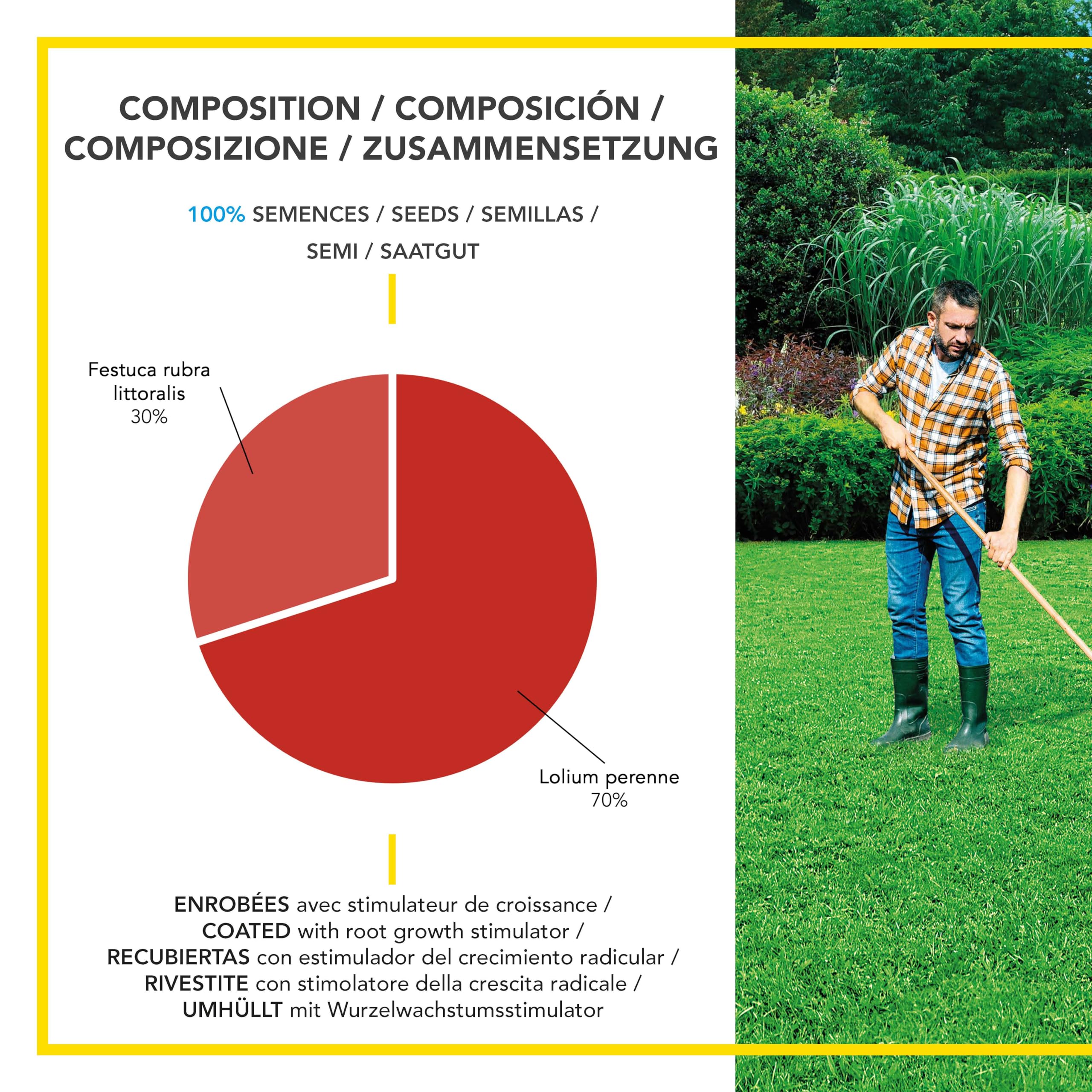 BARENBRUG - Cuidado Renovador Densificante - Densifica y Rejuvenece el Césped - Germina Muy Rápido - Semillas con Recubrimiento - Fabricado en Francia - 3 Kg