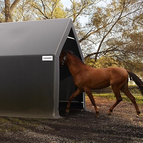 Miniatura 8 de KING BIRD Cochera de 13 x 20 x 12 pies, resistente contra la nieve para SUV, camión y barco de tamaño completo, refugio de barco con barras de