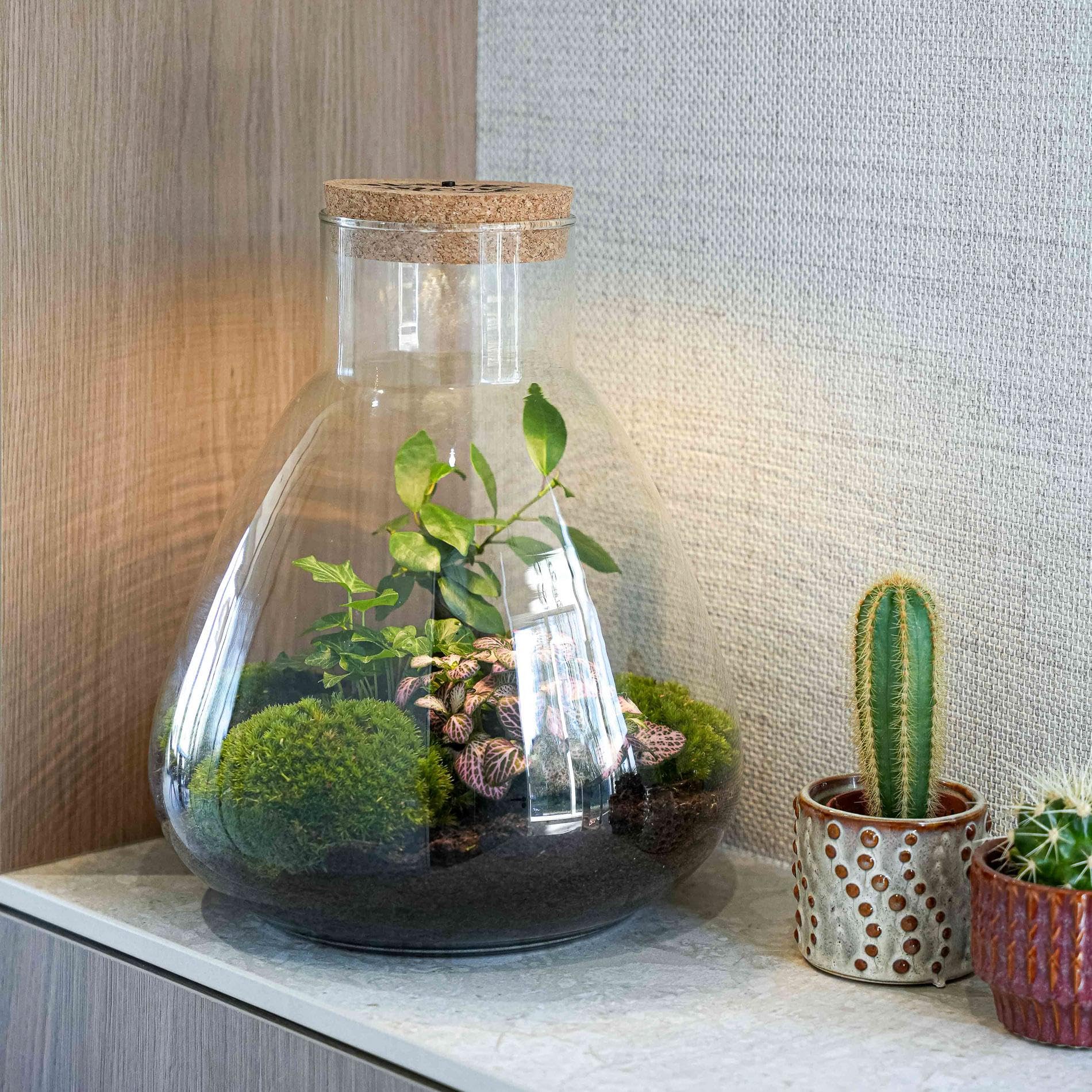 Terrario Cristal DIY con Corcho LED, Regalo Día de la Madre, Ø 24.5x30 cm