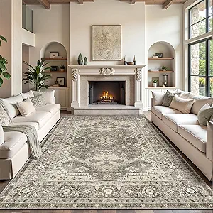 Rugland Area Rug - Stain Resistant Washable Rug, Anti Slip Backing Rugs for Living Room, Vintage Tribal Area Rugs (TPR07-Ivory, 9'x12')
