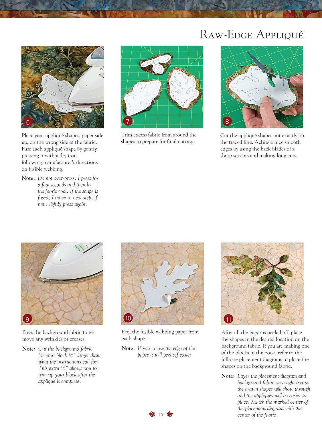 Seasonal Silhouettes: 12 Inspirational Quilt Blocks Featuring Raw Edge Applique (Landauer) Gorgeous Designs & Full-Size Patterns for Every Month of the Year, from Edyta Sitar of Laundry Basket Quilts