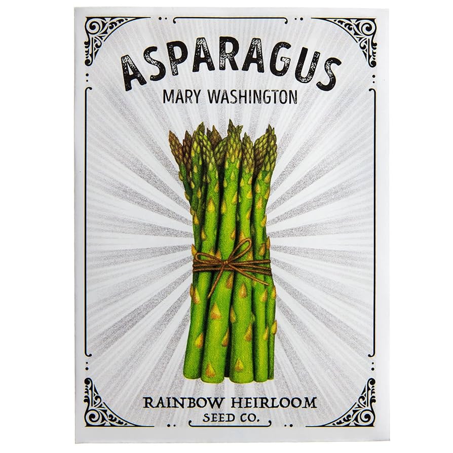 ASPARAGUS 「#1 / モメント」 Asparagus, Mary Washington Seed Packets | Bentley Seeds