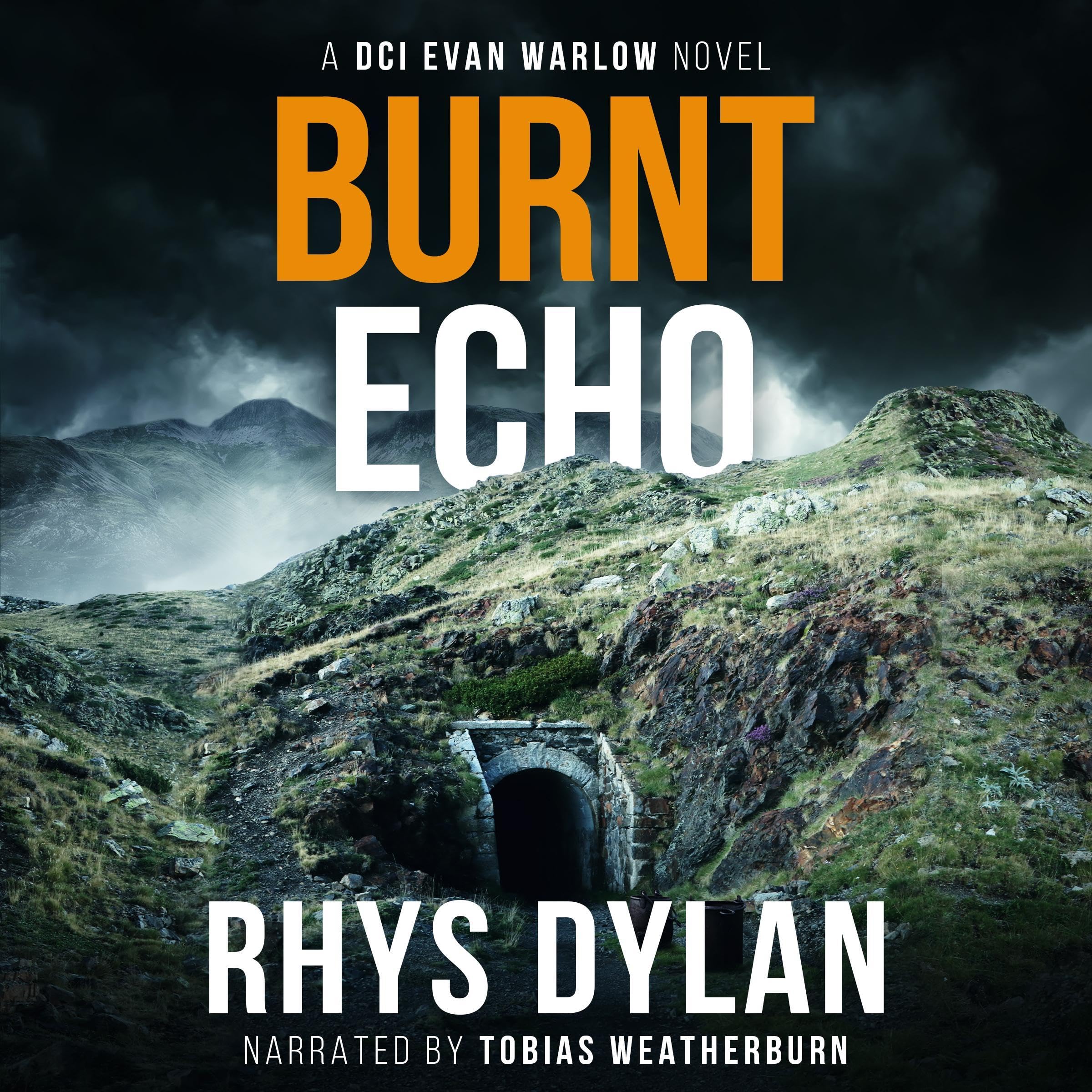 Cover art for Burnt Echo