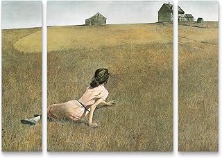 Andrew Wyeth 'Christinas World' Multi Panel Art Set Large 3 Piece