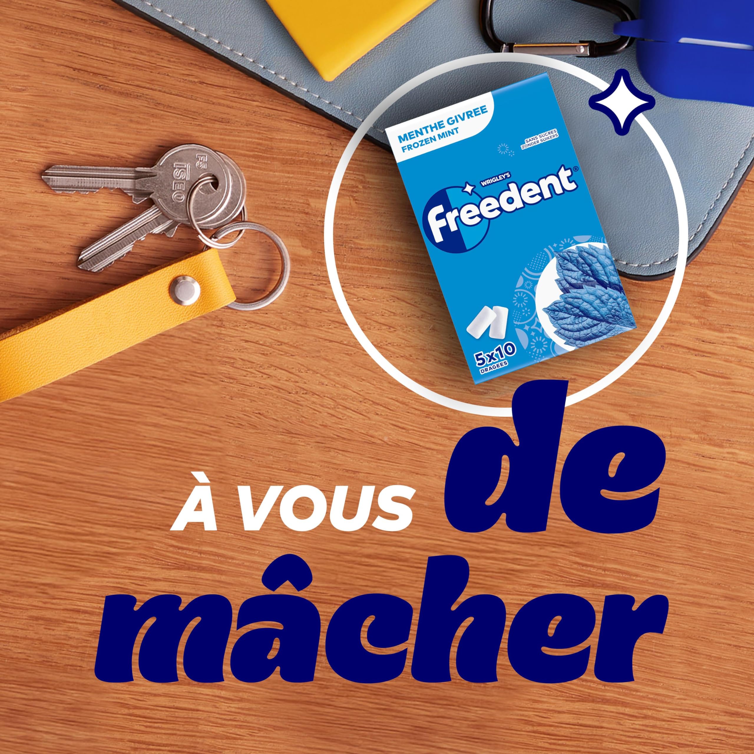 FREEDENT Chewing Gum Sans Sucre Goût Menthe Givrée 5 Paquets 70g