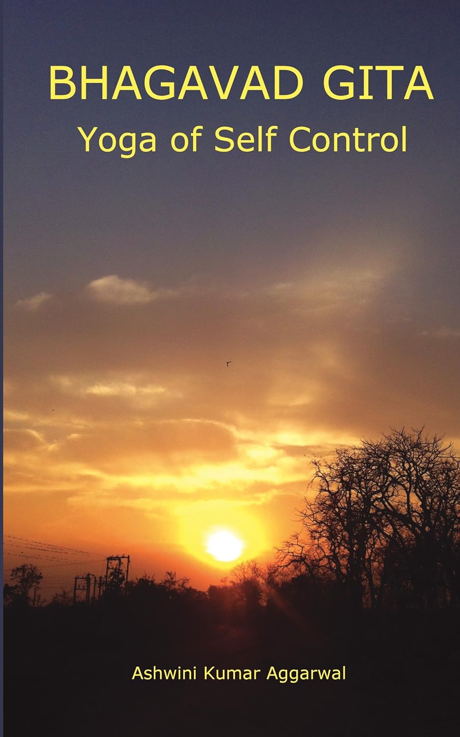 Bhagavad Gita Yoga of Self Control (Yoga and Meditation