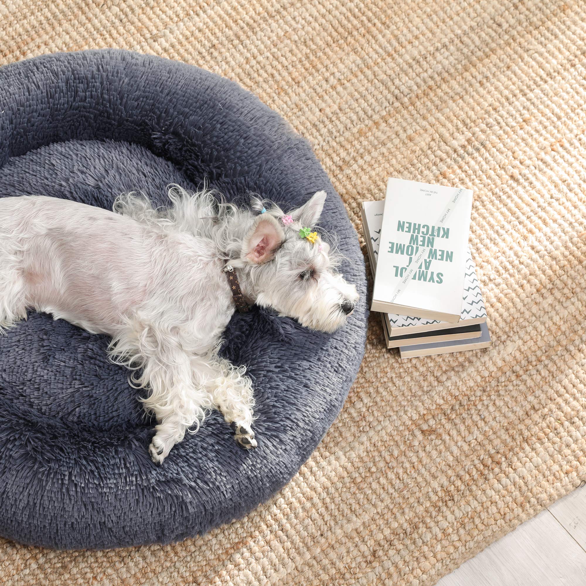 Feandrea Cuccia Cane Interno, Cuccia per Cani, Lettino per Animali Domestici a Ciambella, Cuscino Sfoderabile e Lavabile, Tappeto di Peluche, Diametro 70 cm, Grigio Scuro PGW039G02