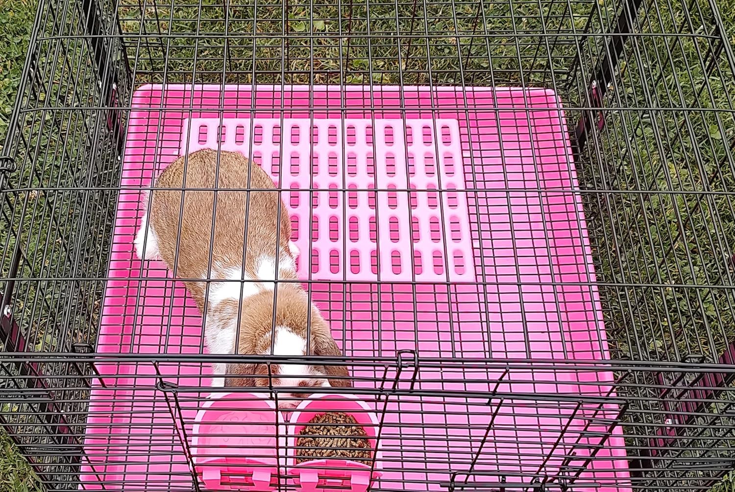 Saguaro Acres Rabbit and Small Animal Cage Resting Mat for Wire Floored Cages - Pack of 6 (Pink and Blue)