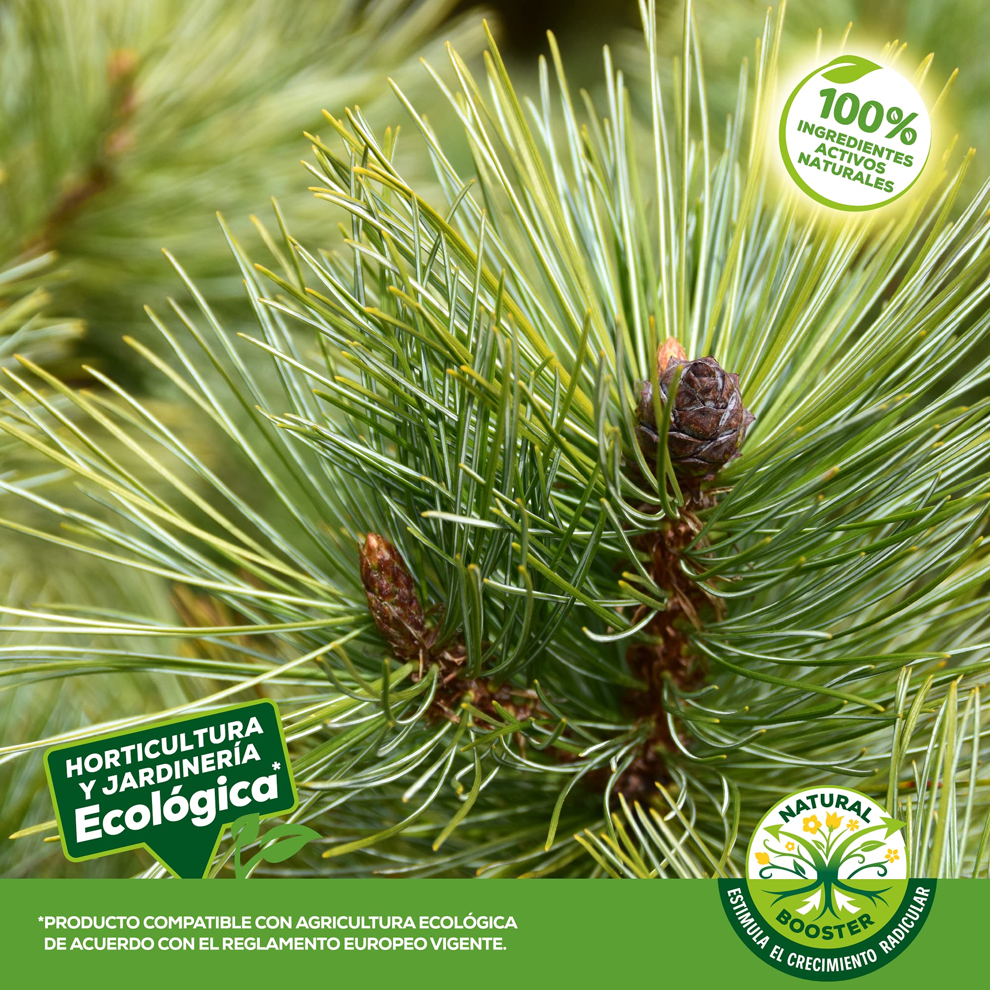 Solabiol Fertilizante para coníferas y otros arbustos, 100% orgánico