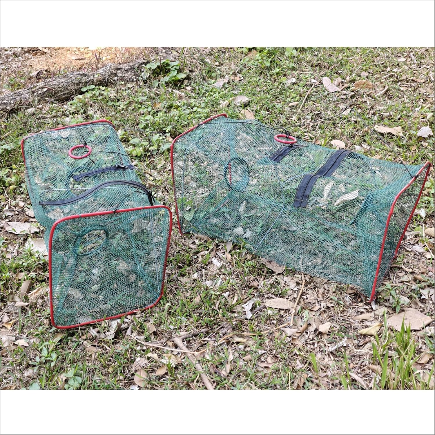 2 Pack Fishing net Trap Foldable Crawfish Bait Trap nets Shrimp Bait Trap Nets Minnow Trap Crab Trap Equipped with 19.7ft Nylon Rope Winding Board Floating Ring and Ground Plug