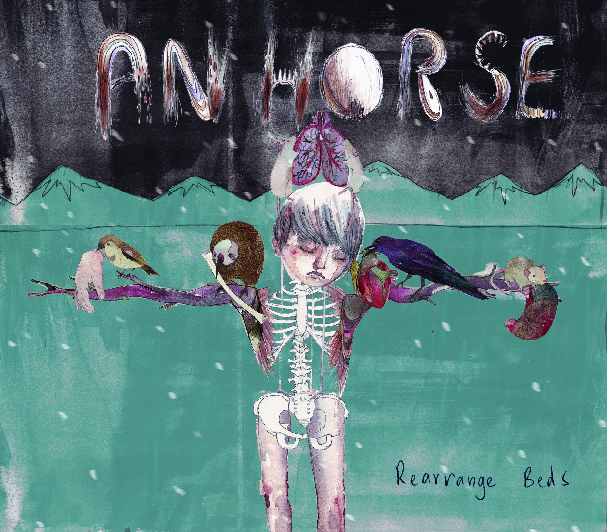 Rearrange Beds [Audio CD] An Horse