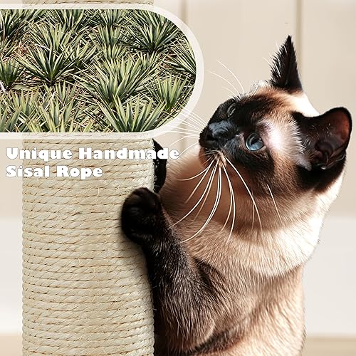 Vista 188 de Yaheetech Árbol para gatos de varios niveles de 70 pulgadas, torre alta para gatos con condominio, postes rascadores y bola colgante para gatos