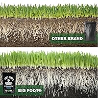 Vista 7 de Big Foot Concentrado de micorrizas (10 lb)