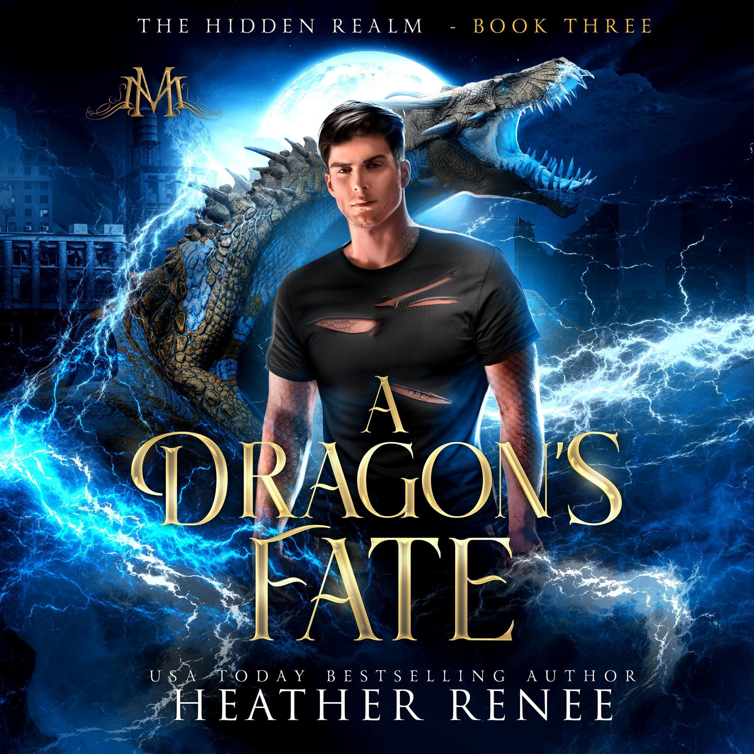Cover art for A Dragon's Fate