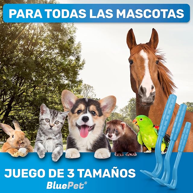 Foto 2 de 8 de BluePet 3X Ganchos Garrapatas, Pinza Antigarrapatas Perros, Gatos, Caballos