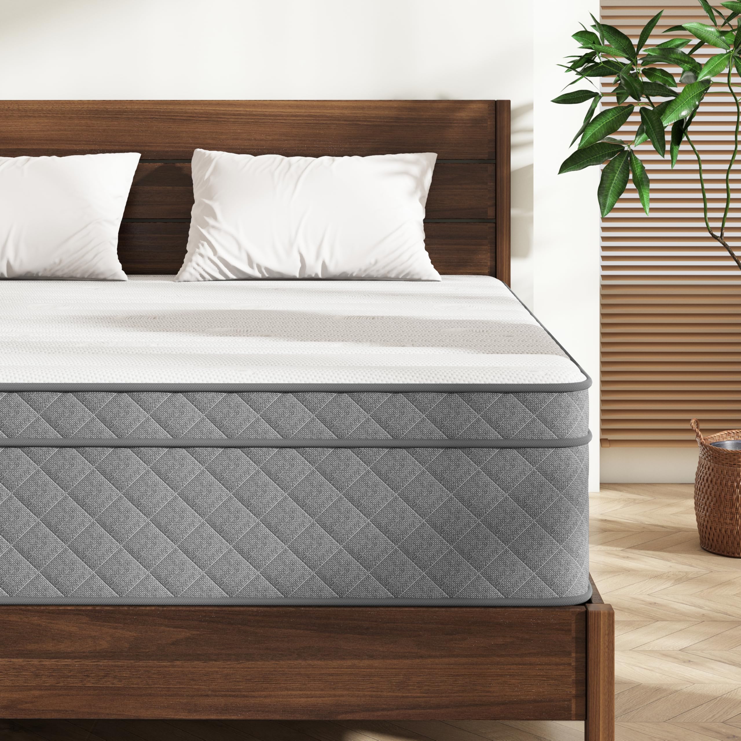 MOLPHIT Matratze 140x200 H2, Höhe 25 cm mit Oeko-TEX Zertifiziert, 7-Zonen Taschenfederkernmatratze Weich mit Komfortschaum, Gewebe mit weicher, Langlebig & Hautfreundlich