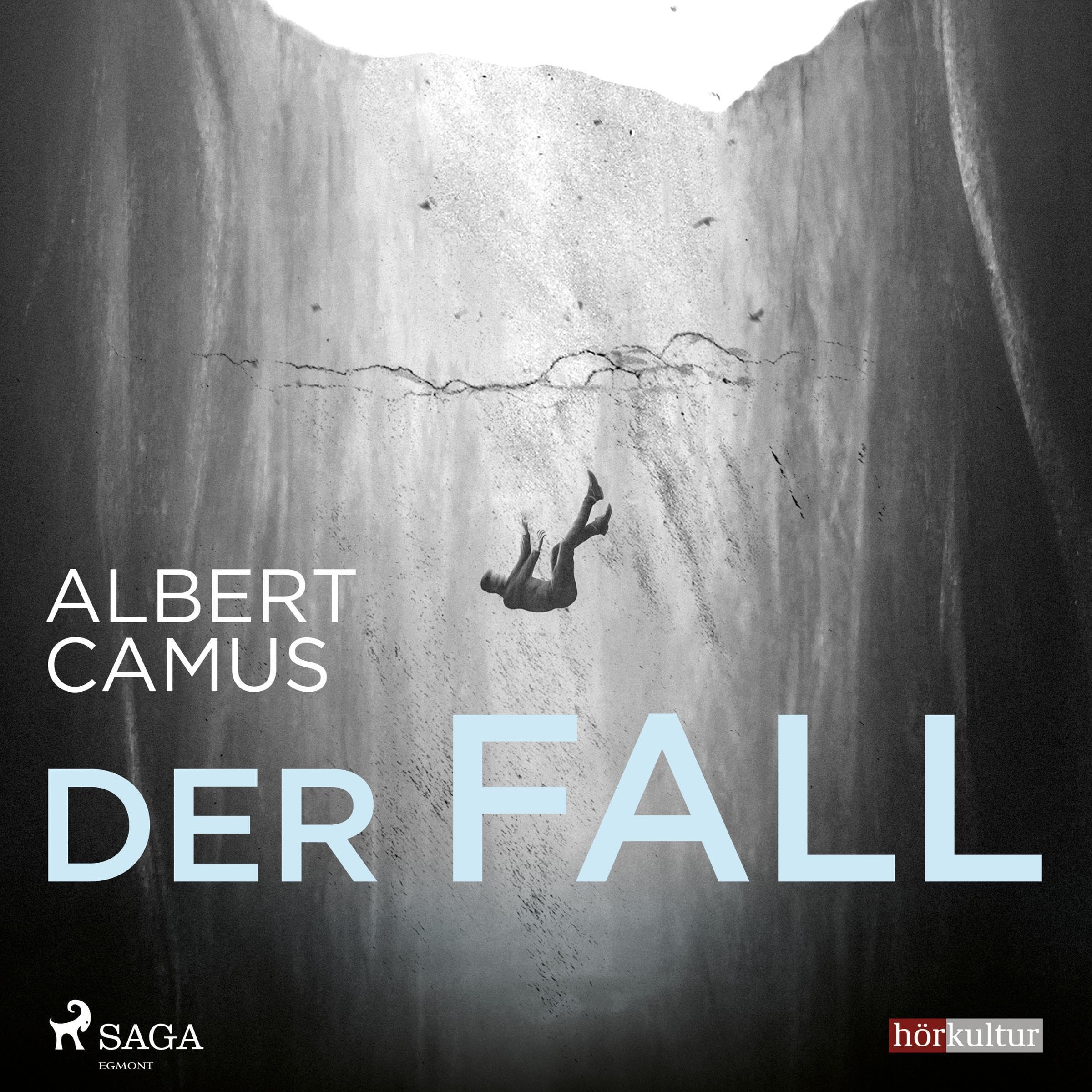 Cover art for Der Fall