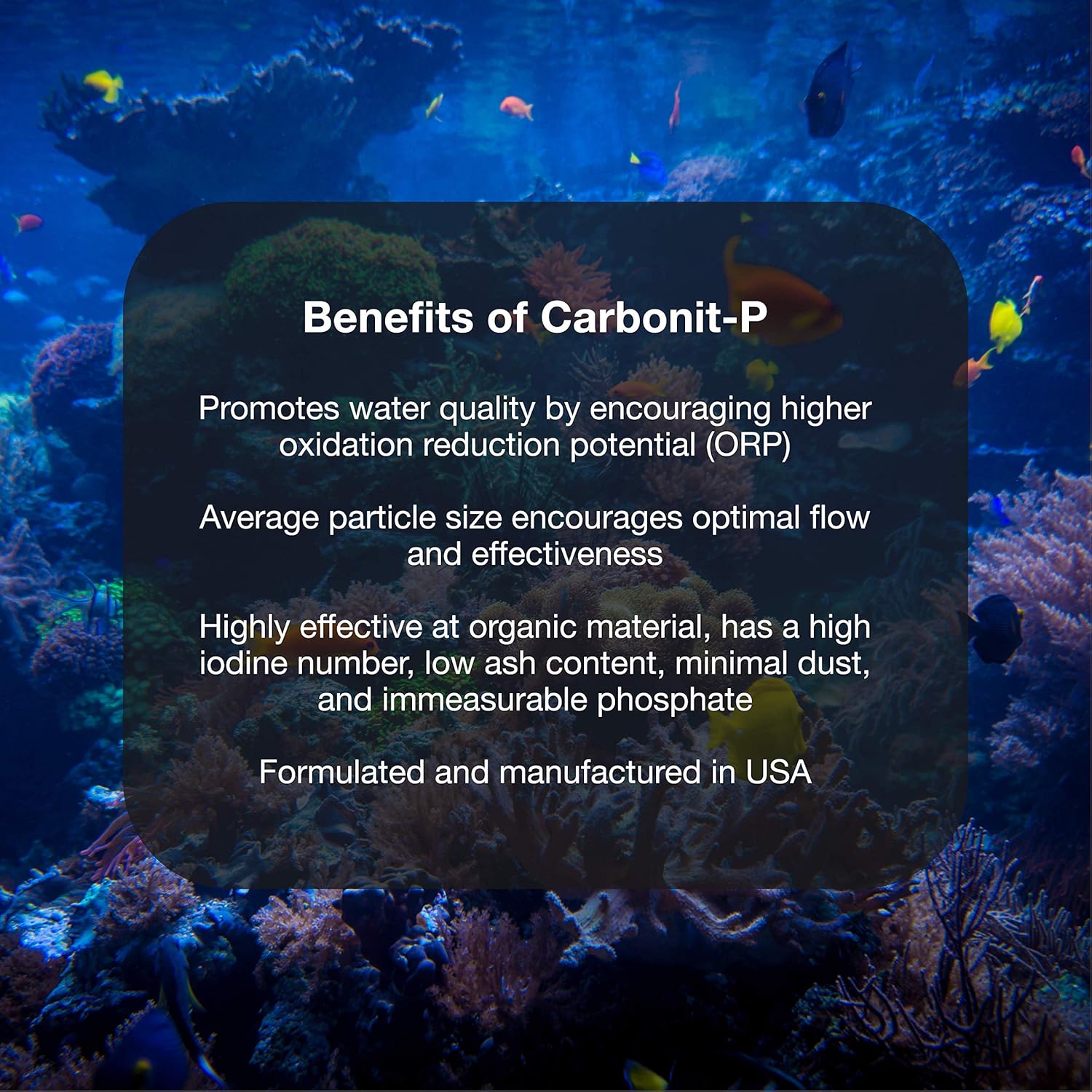 Brightwell Aquatics Carbonit-P - Activated Carbon Filter Media for Marine and Freshwater Aquarium