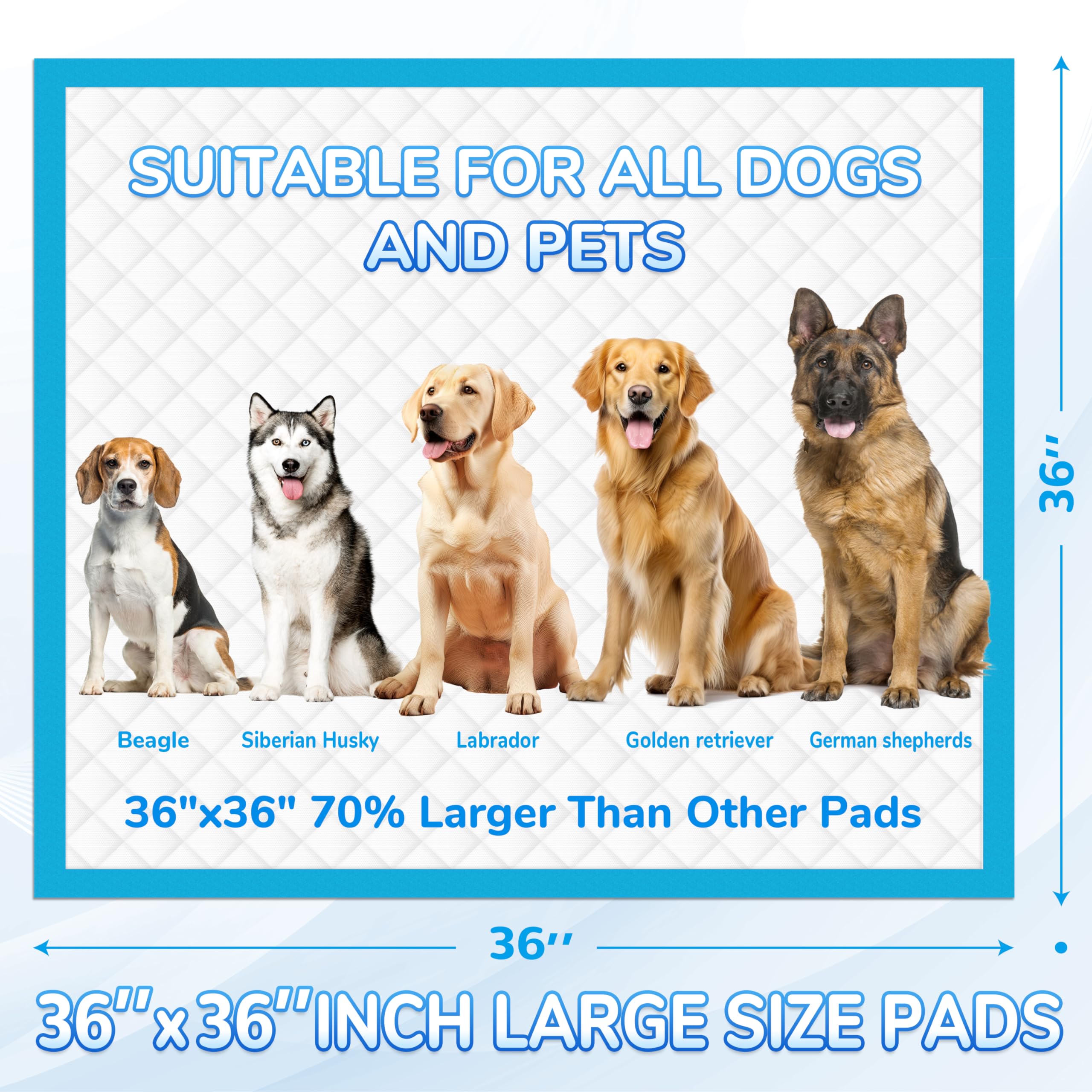 Bulubaky Welpenunterlagen Jumbo 91,4x91,4 Cm – 6-lagig, Auslaufsicher, Saugt Bis 700 Ml, Für Hunde & Katzen