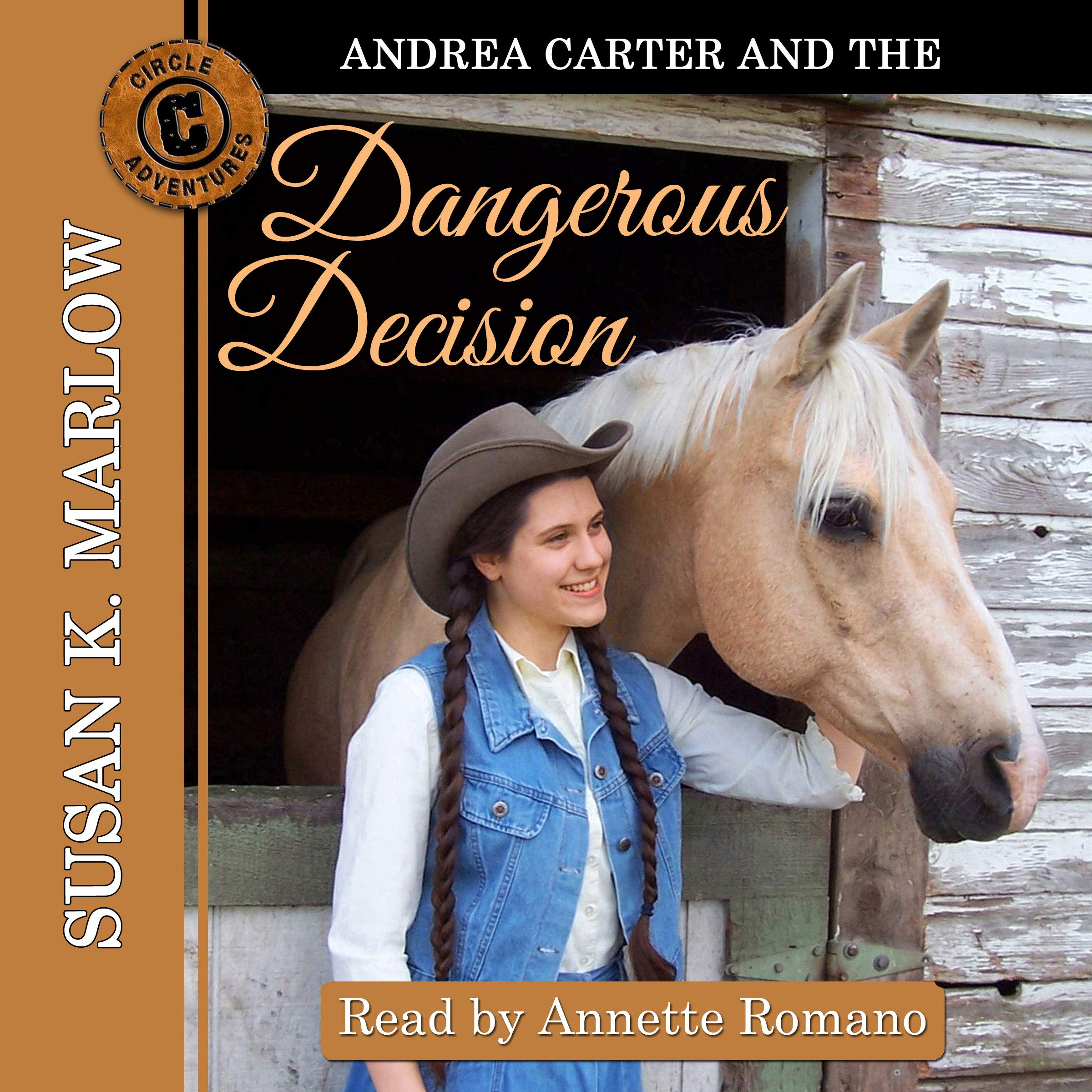 Cover art for Andrea Carter and the Dangerous Decision