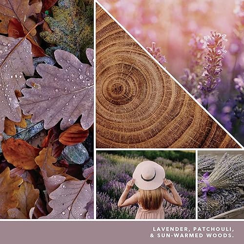 Miniatura 3 de Yankee Candle Studio - Vela mediana de lavanda seca y roble, 10 onzas Vela de mezcla de cera de soja perfumada de aceite esencial de larga duración,