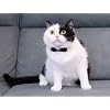 Product Photo 6