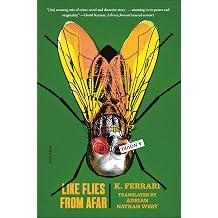 Like Flies from Afar A Novel