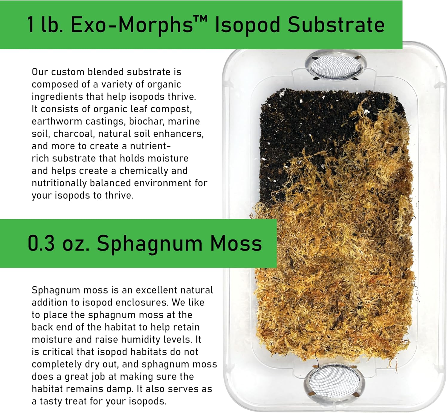 Deluxe Isopod Habitat Kit - Exo-Morphs - Insect Terrarium