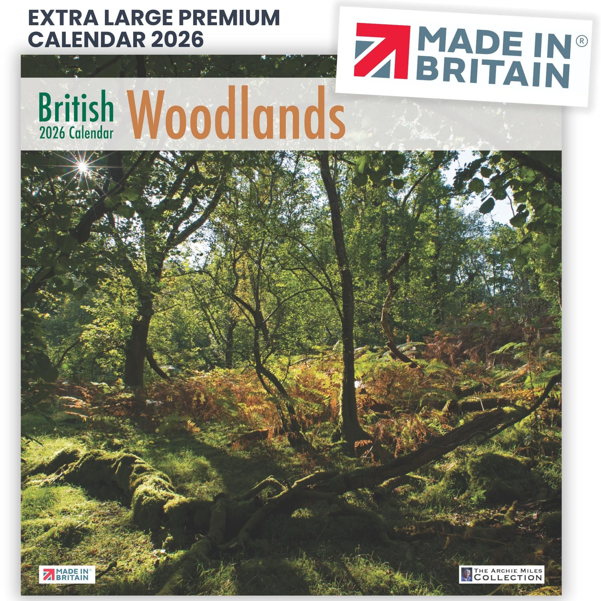 ALLTRADE Calendar 2026 British Woodlands Premium Large 2026 Calendar UK Holidays MADE IN BRITAIN® with Solar Energy on FSC® Paper Photos by ARCHIE MILES Supports Tree Planting Great Gift — image 1