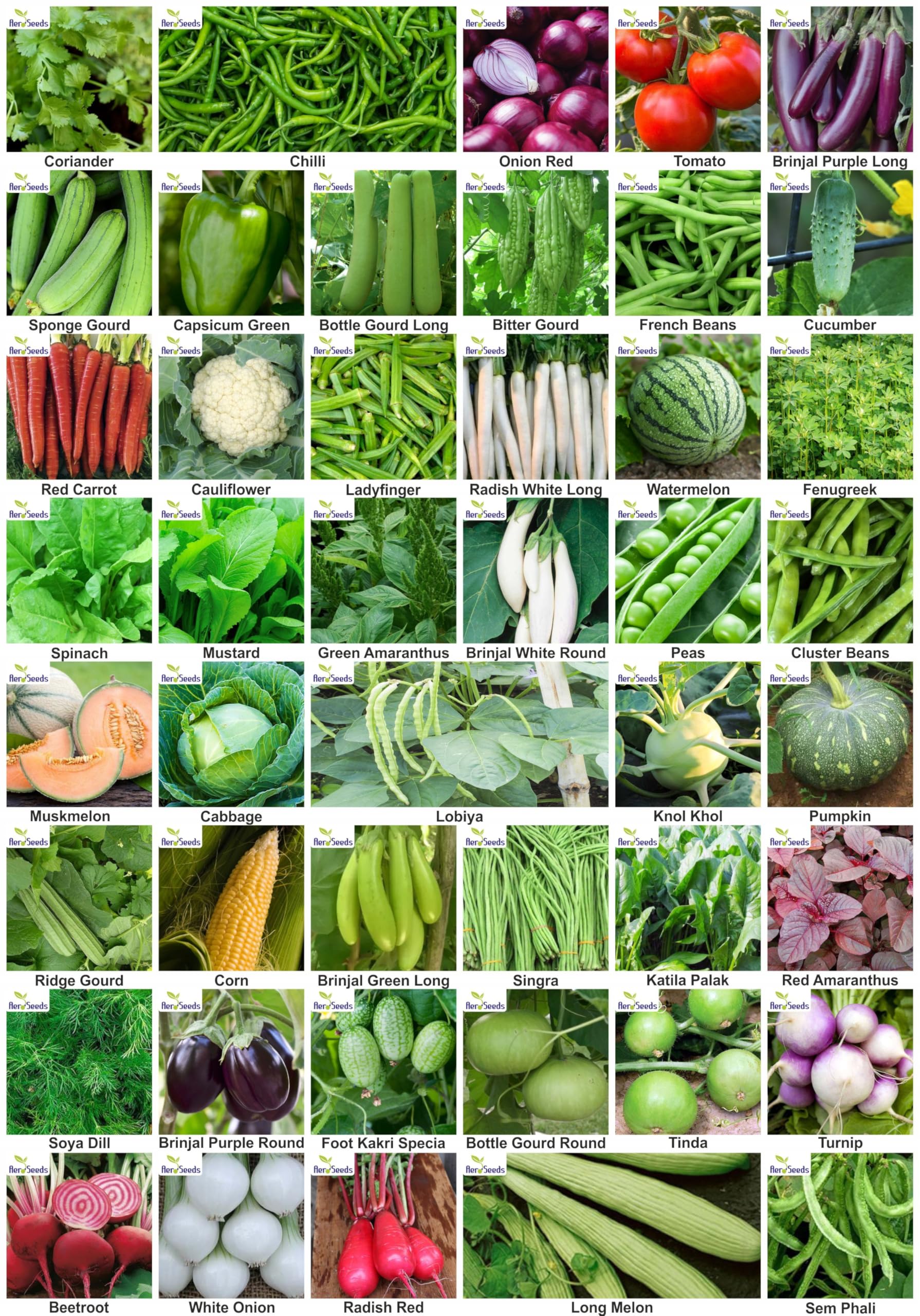 Aero Seeds Combo of 45 varieties vegetable seeds with instruction manual.-image-26