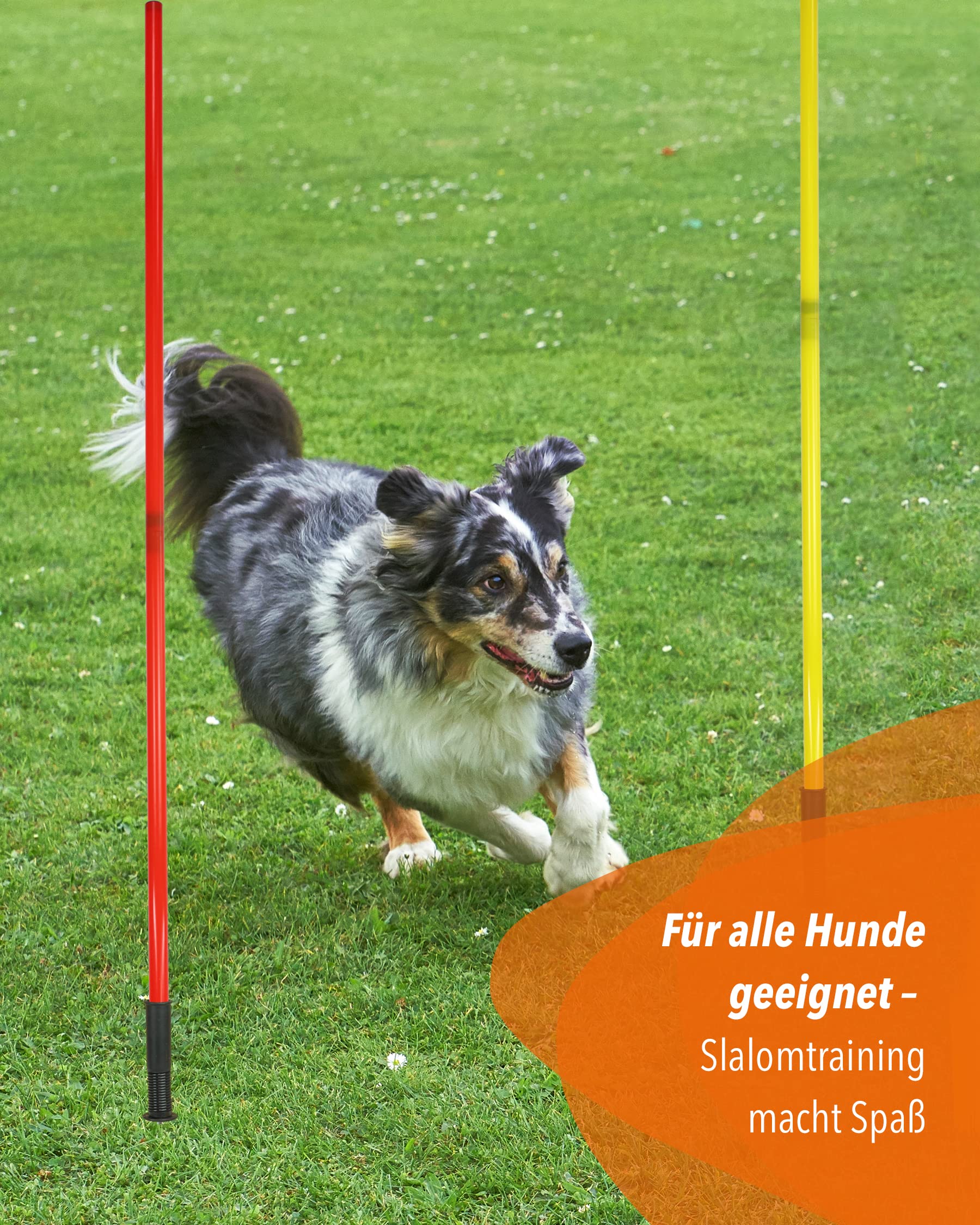 Kombi-Hülse aus Kunststoff mit Kippgelenk & Slalomstange 180 cm – 4er Set – Stange für Slalom & Koordinationstraining – für Fußball & Hundesport – Slalom-Set