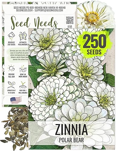 Seed Needs Polar Bear - Semillas de zinnia blancas para plantar, reliquia y sin tratar, cultiva un jardín de mariposas para atraer mariposas, abejas