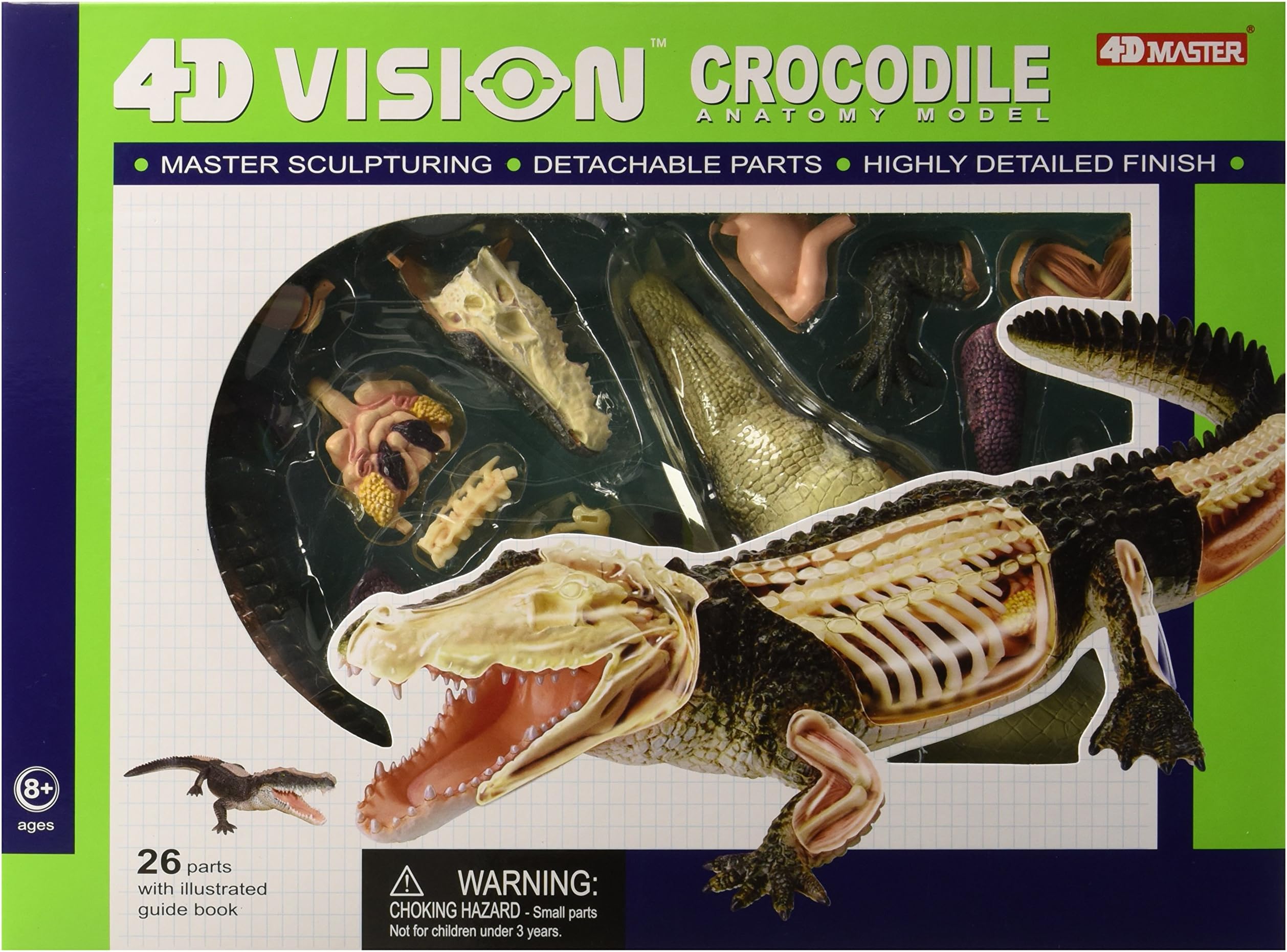 Famemaster 4D Vision Crocodile Anatomy Model